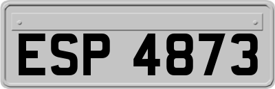 ESP4873