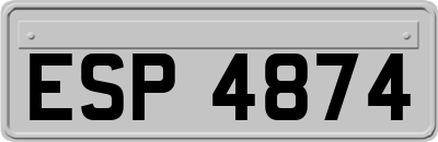 ESP4874