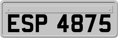 ESP4875