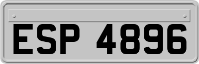 ESP4896