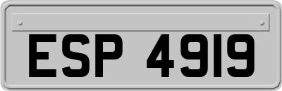 ESP4919