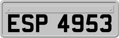 ESP4953