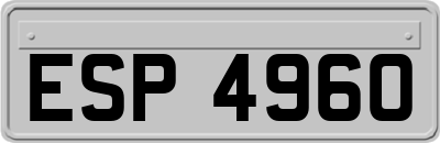 ESP4960