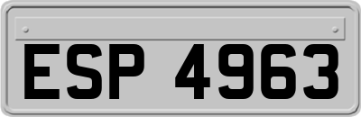 ESP4963