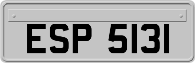 ESP5131