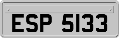 ESP5133