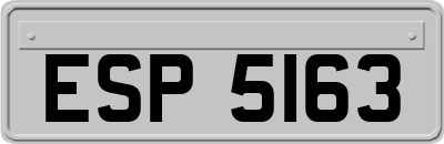 ESP5163