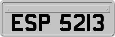 ESP5213