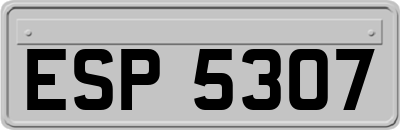 ESP5307