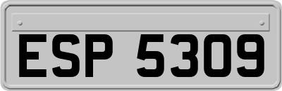 ESP5309