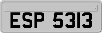 ESP5313