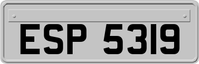 ESP5319