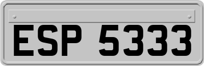 ESP5333