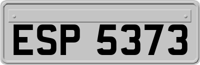 ESP5373