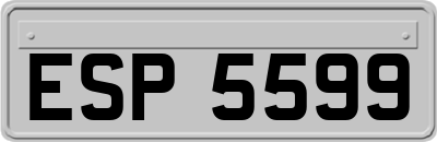 ESP5599
