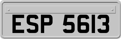 ESP5613