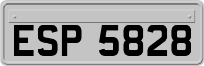 ESP5828
