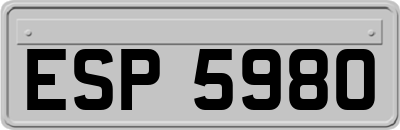ESP5980