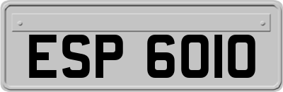 ESP6010