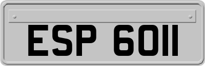 ESP6011
