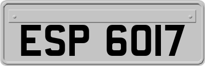 ESP6017
