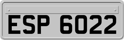 ESP6022