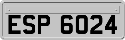 ESP6024