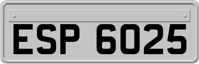 ESP6025