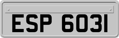 ESP6031
