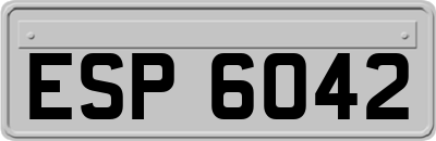 ESP6042