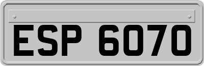 ESP6070