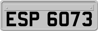 ESP6073