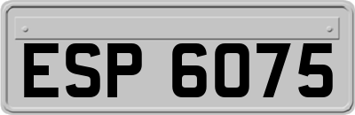 ESP6075