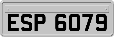 ESP6079