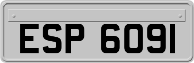 ESP6091