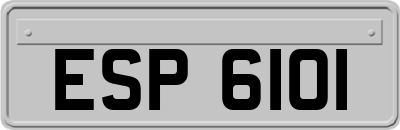 ESP6101