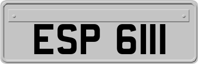 ESP6111