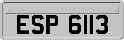 ESP6113
