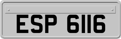 ESP6116