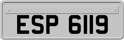 ESP6119