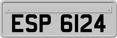 ESP6124
