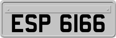ESP6166