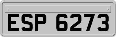 ESP6273