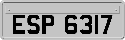 ESP6317