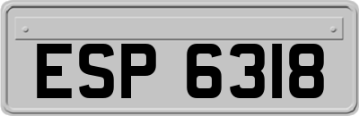 ESP6318