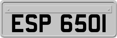 ESP6501