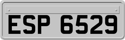 ESP6529