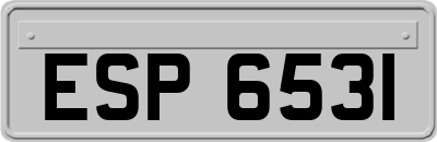 ESP6531
