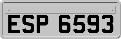 ESP6593