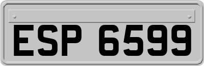 ESP6599